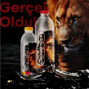 Galatasaray pet 400 ml  eco 